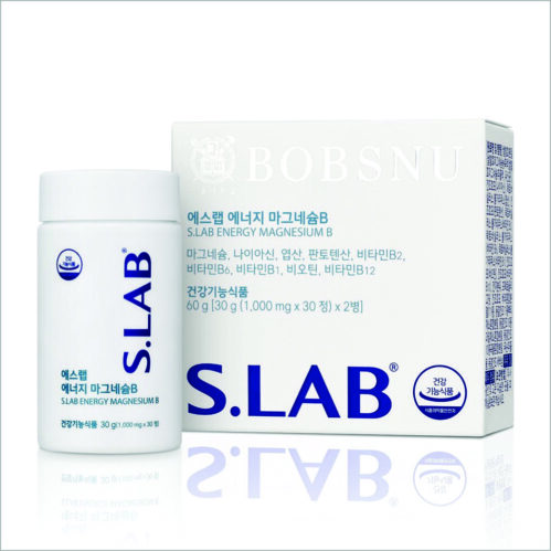 에스랩+에너지+마그네슘B